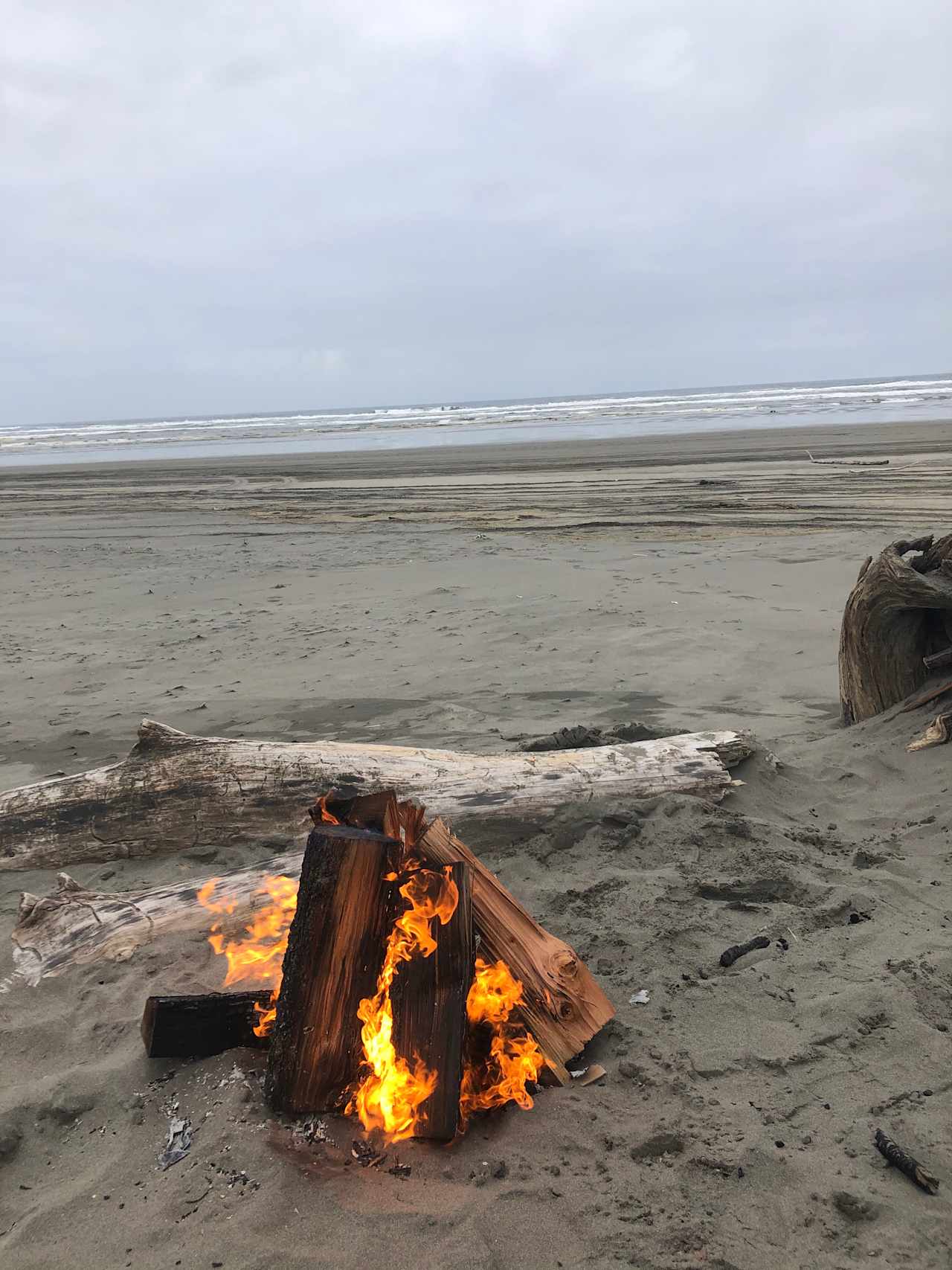 Fire at the beach. 