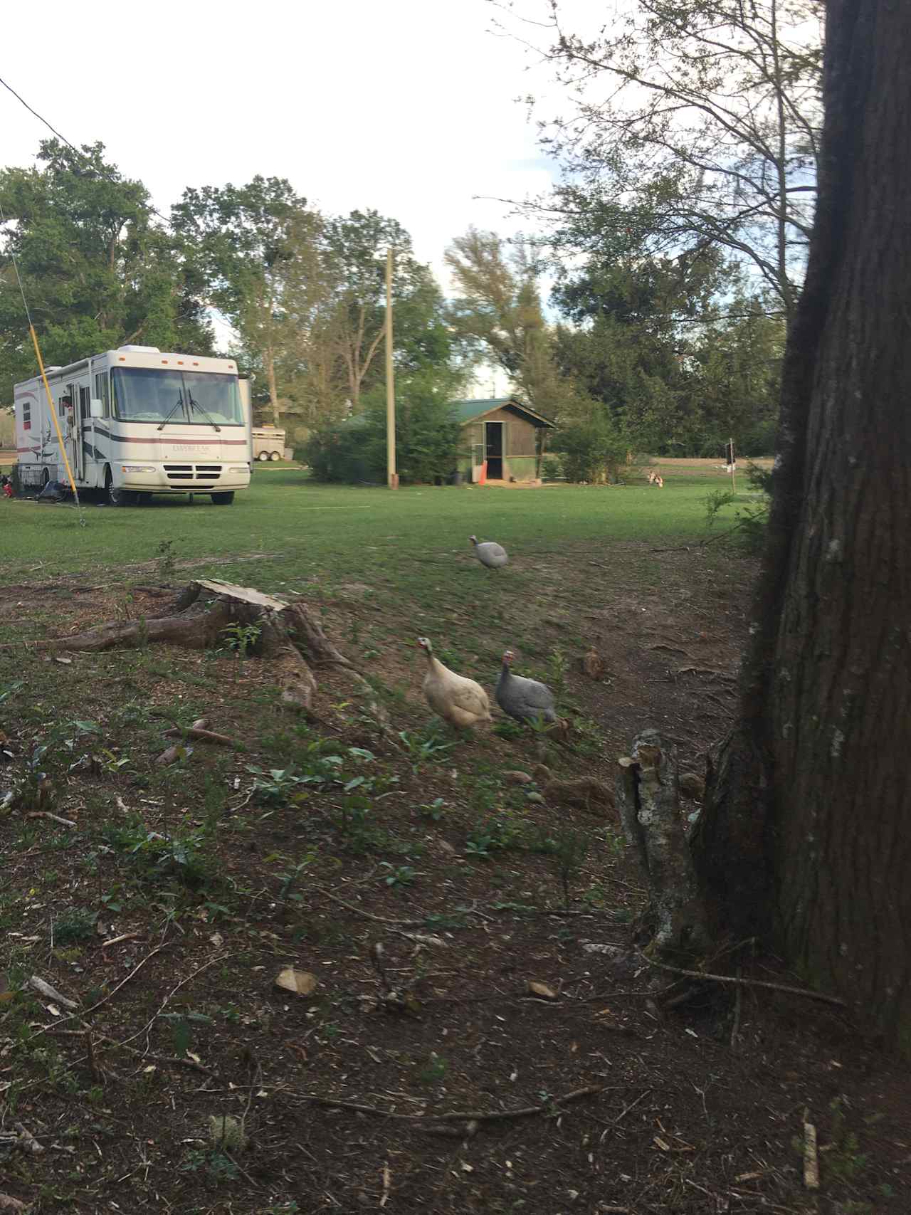 A sm collection of other rvs and a couple tents