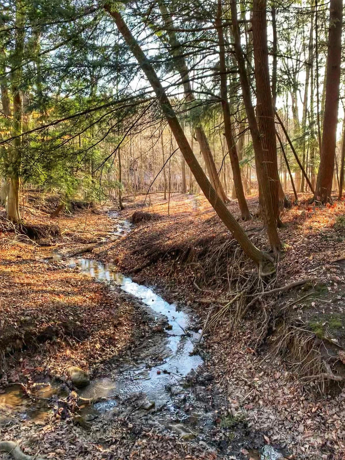 Otter Creek Camping