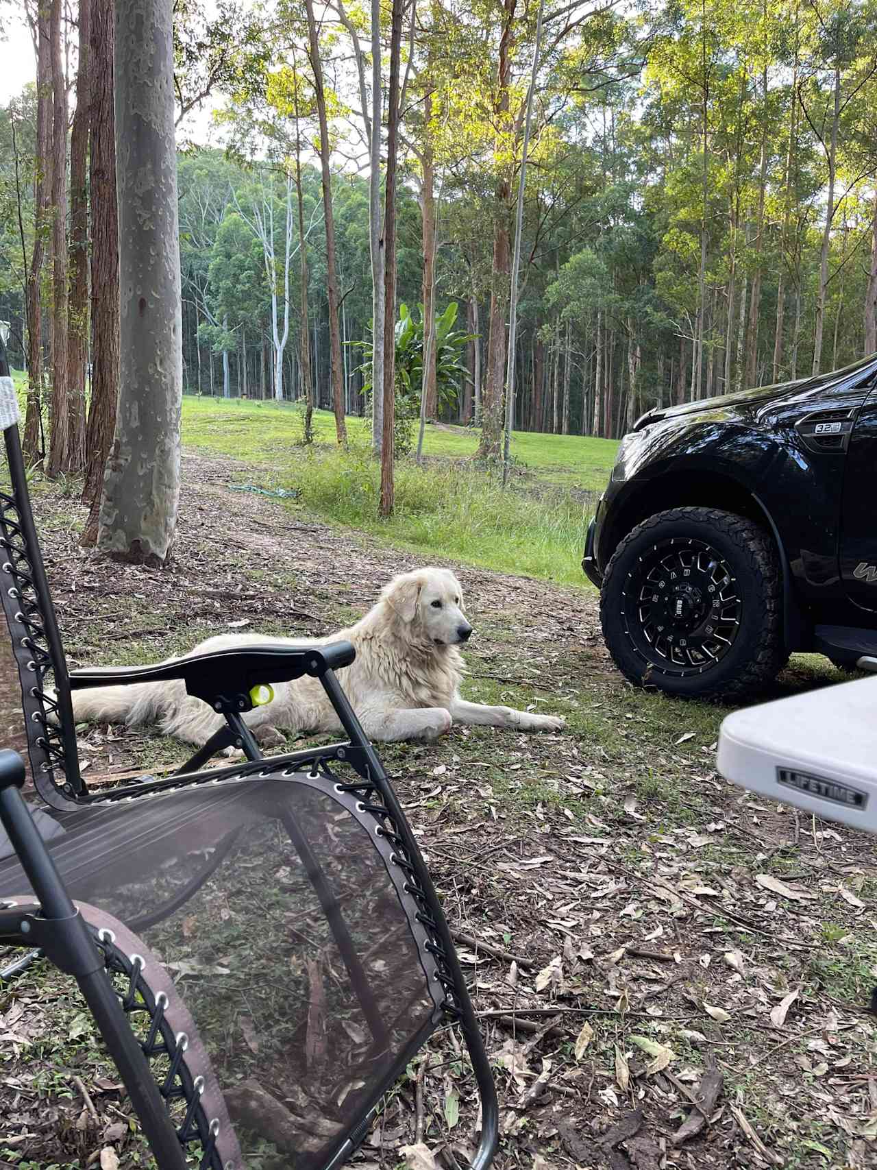 Boris the Protector
