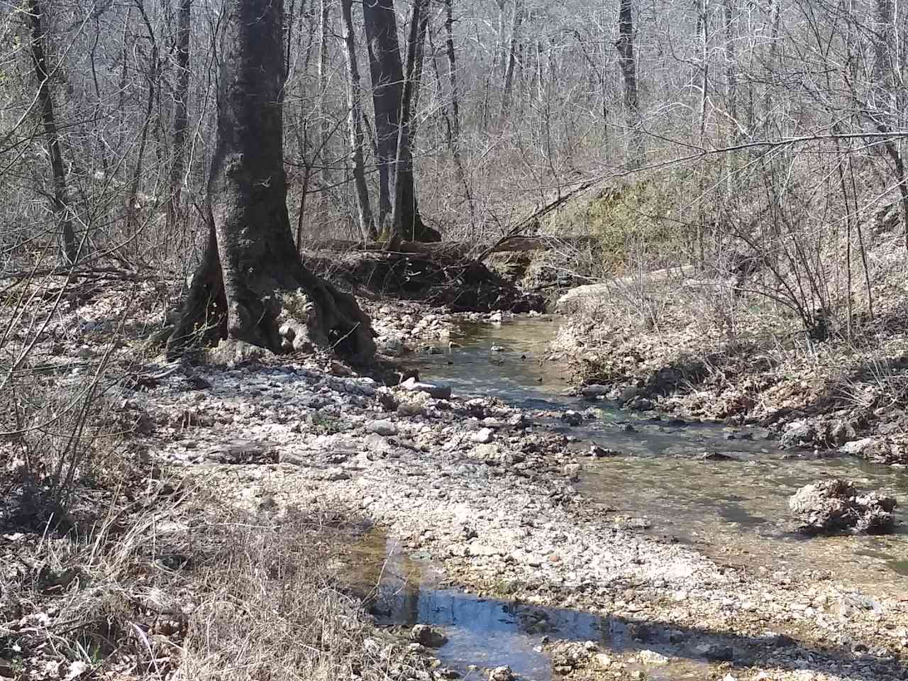 Wolf Pen Hollow