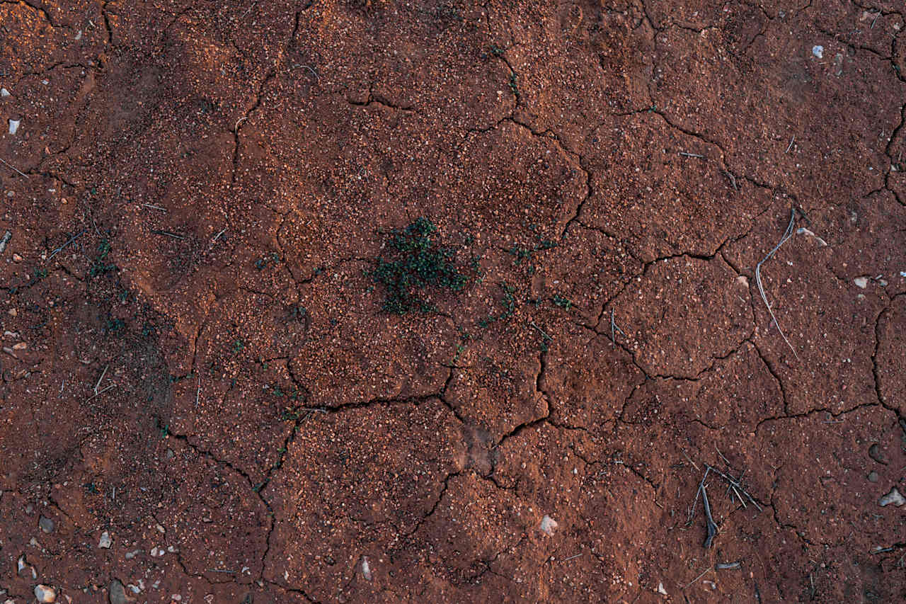 Red Arizona dirt. 