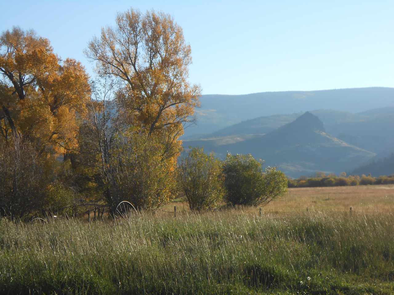 Spotted Fox Meadow