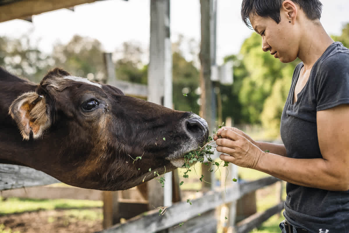 Florida fun on the farm