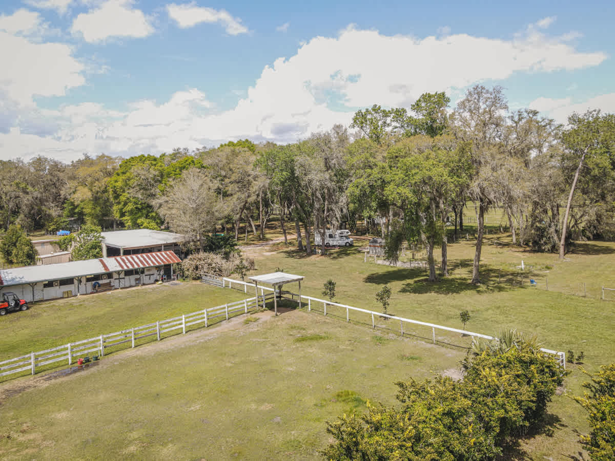 Florida fun on the farm