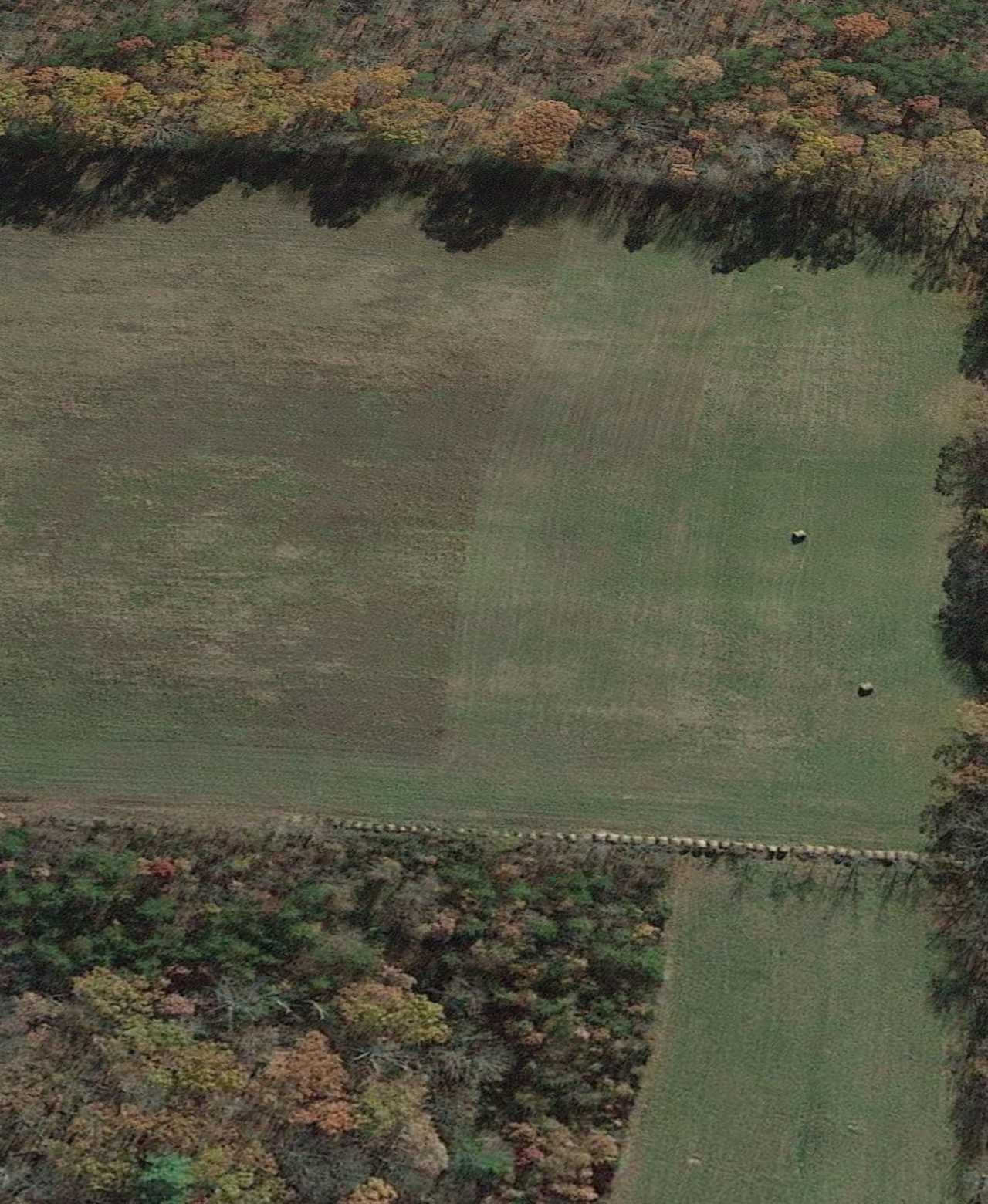 Tent Camping -- On the Farm!