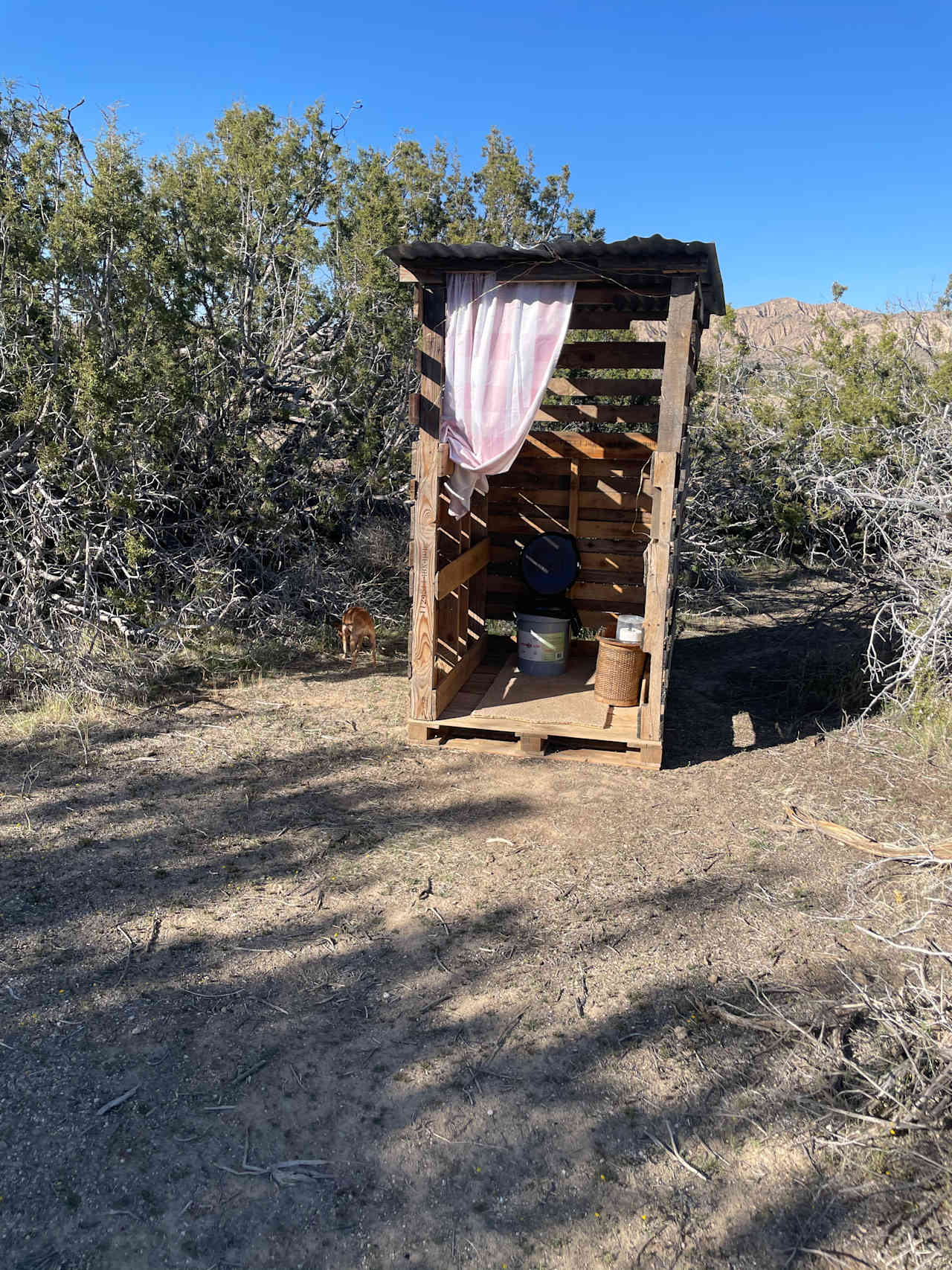 A private “outhouse” for each campsite. Lit up at night. 