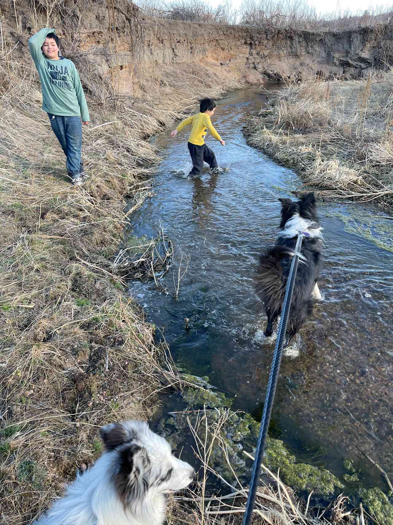 The creek is fun to exore