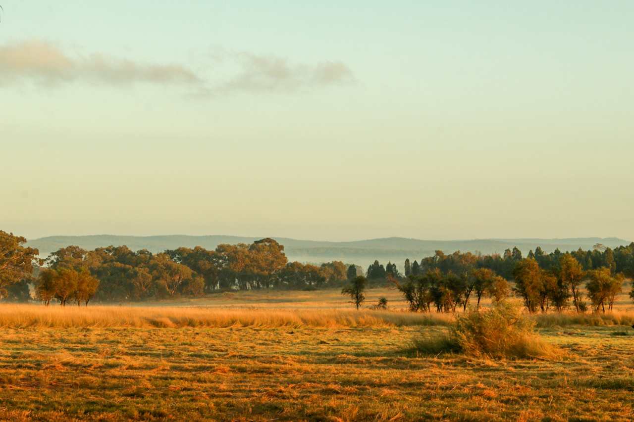 Cobbora Station