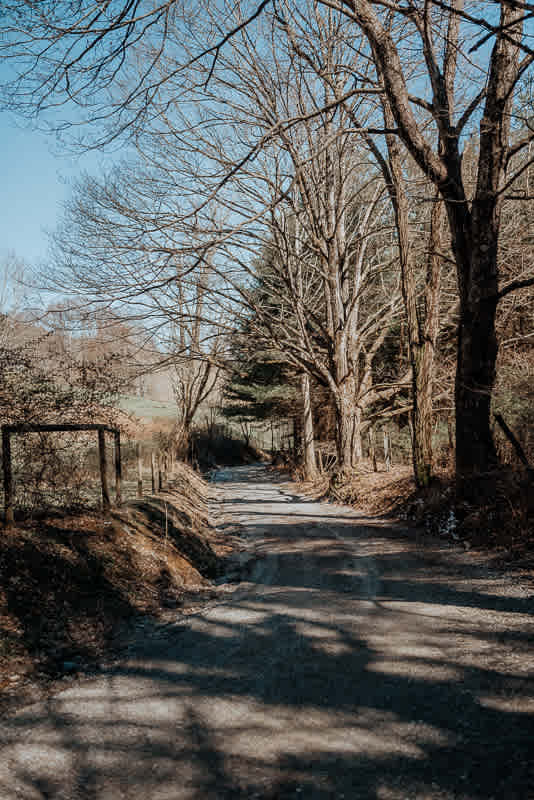 The view back down the road from the campsite.