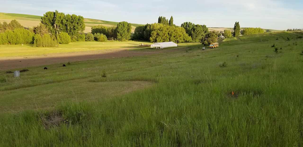 View of the Grounds from the North Hill.