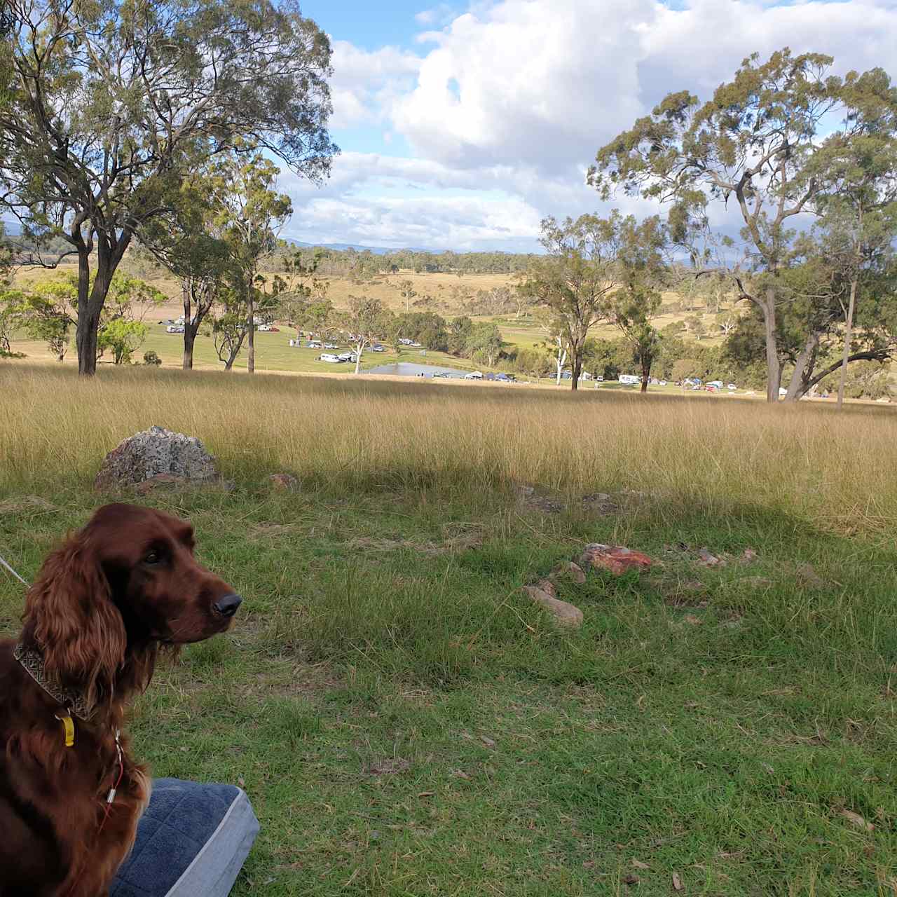 Berrima Farmstay