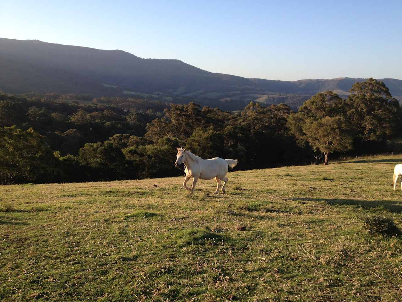 Jamberoo Mountain Farm Camp