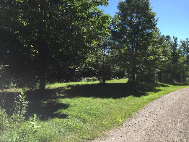 Birch Tree Acres--Tent Site or Yurt