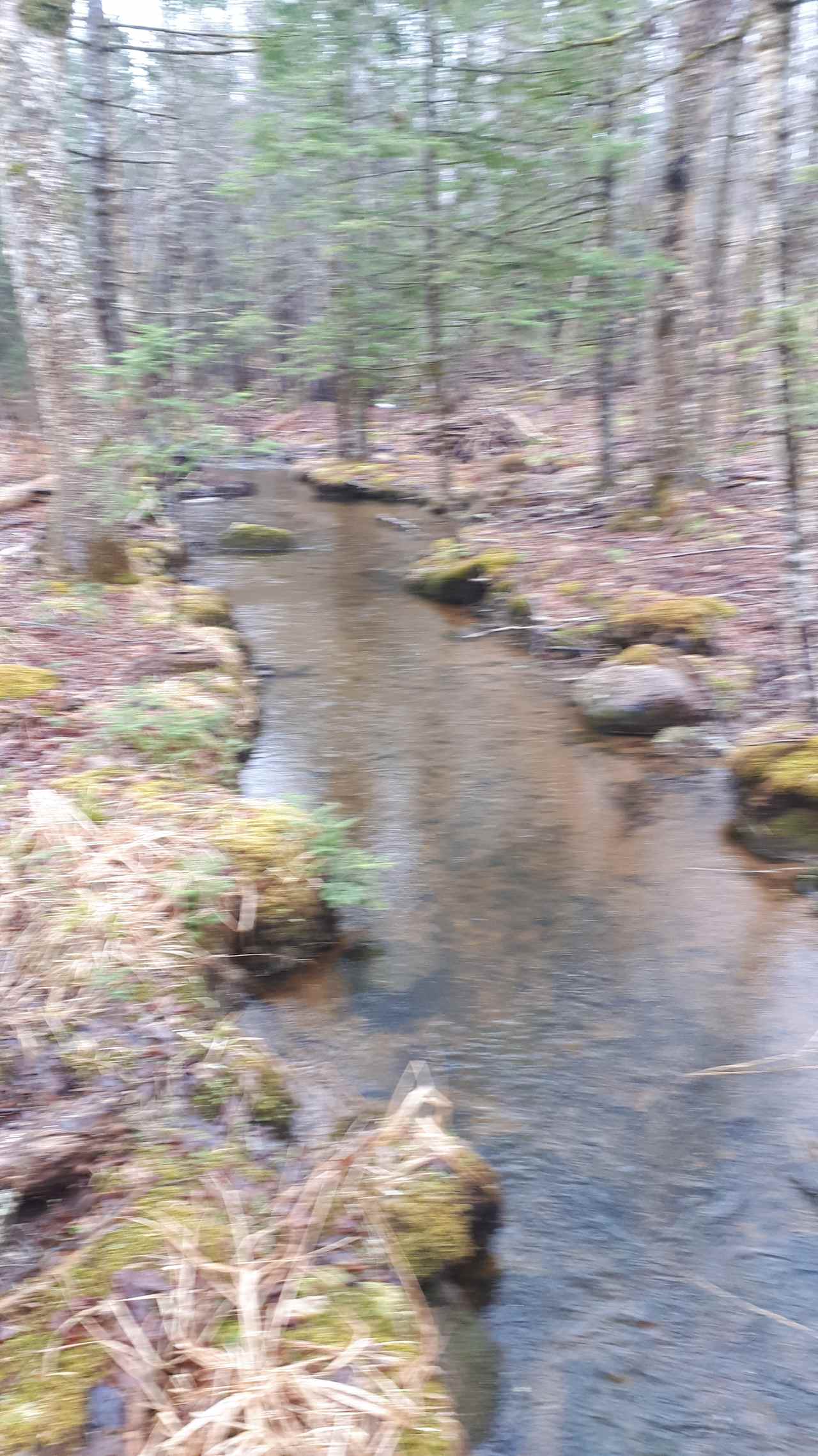 Hidden Brook Wilderness Camping