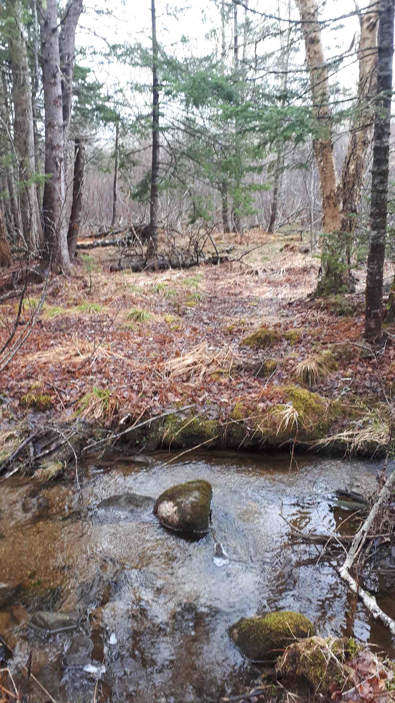 Hidden Brook Wilderness Camping