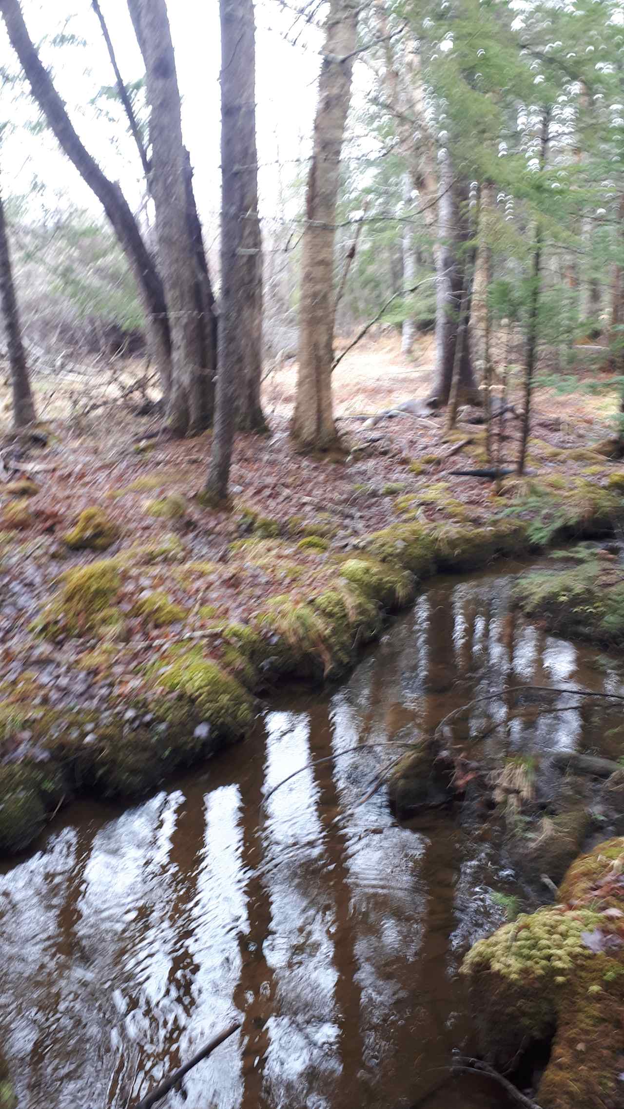 Hidden Brook Wilderness Camping