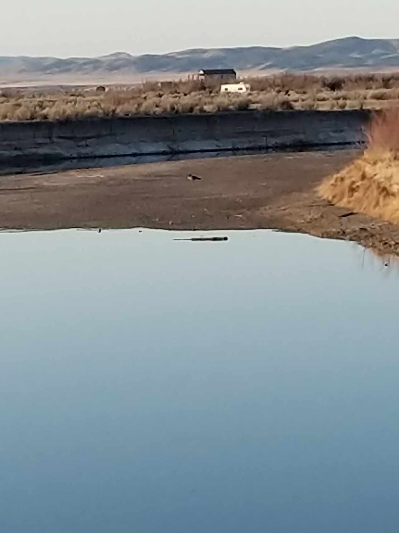 Lakeside Cabins and Camping