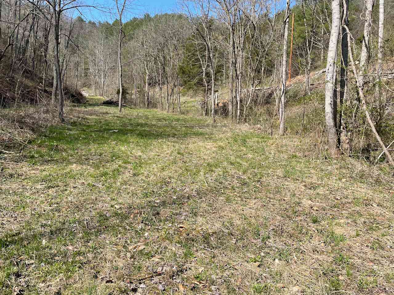 Field at creek, or mountain top.