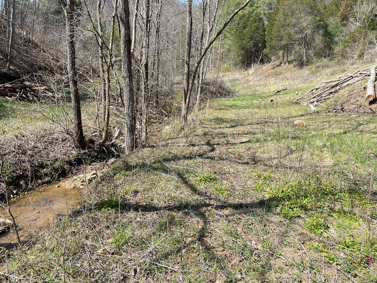 Field at creek, or mountain top.