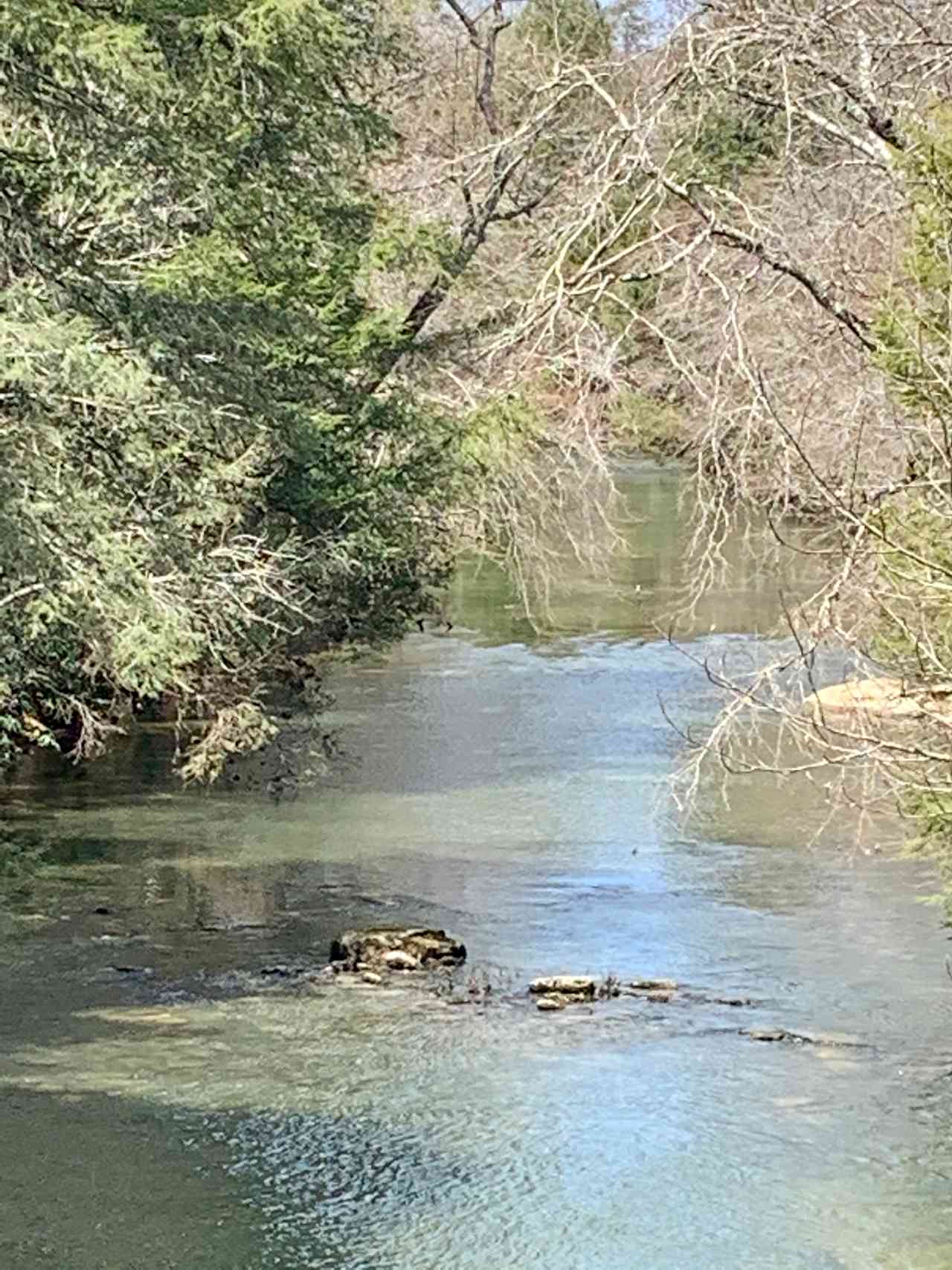 Caney Fork Camping