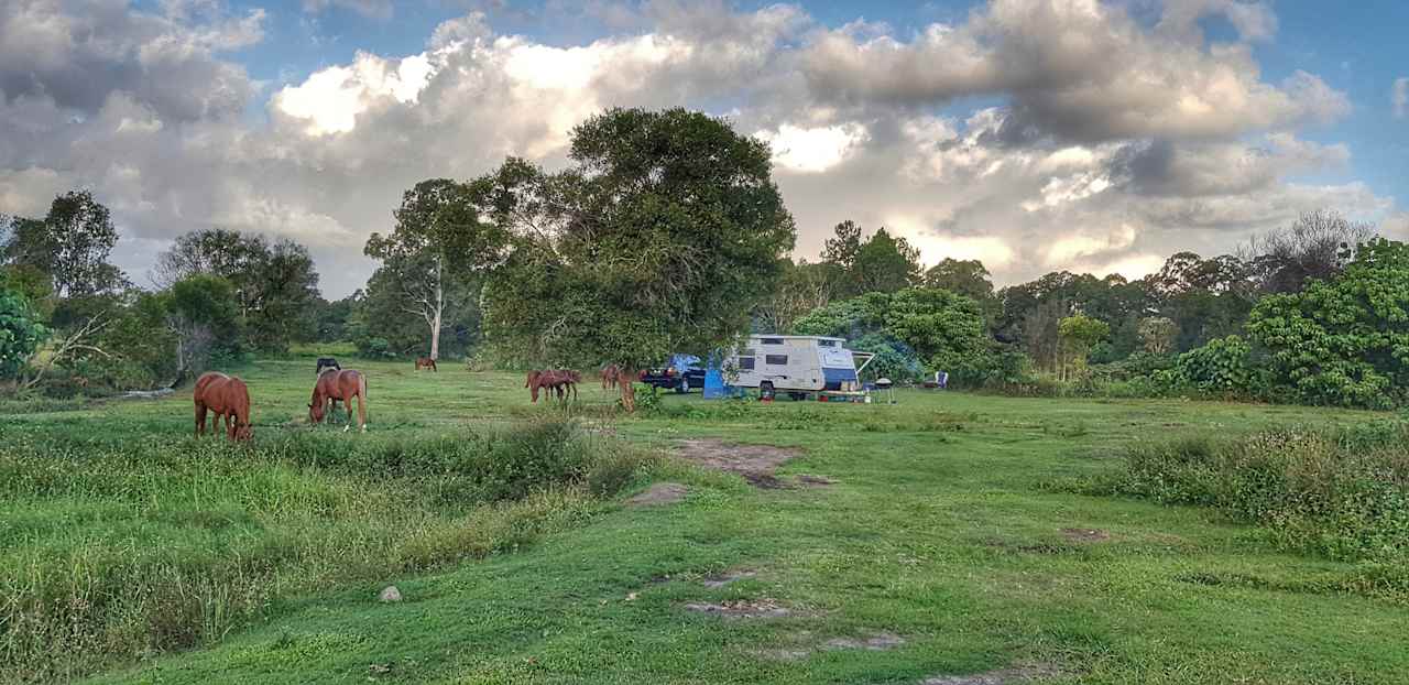 Wild Horse Retreat