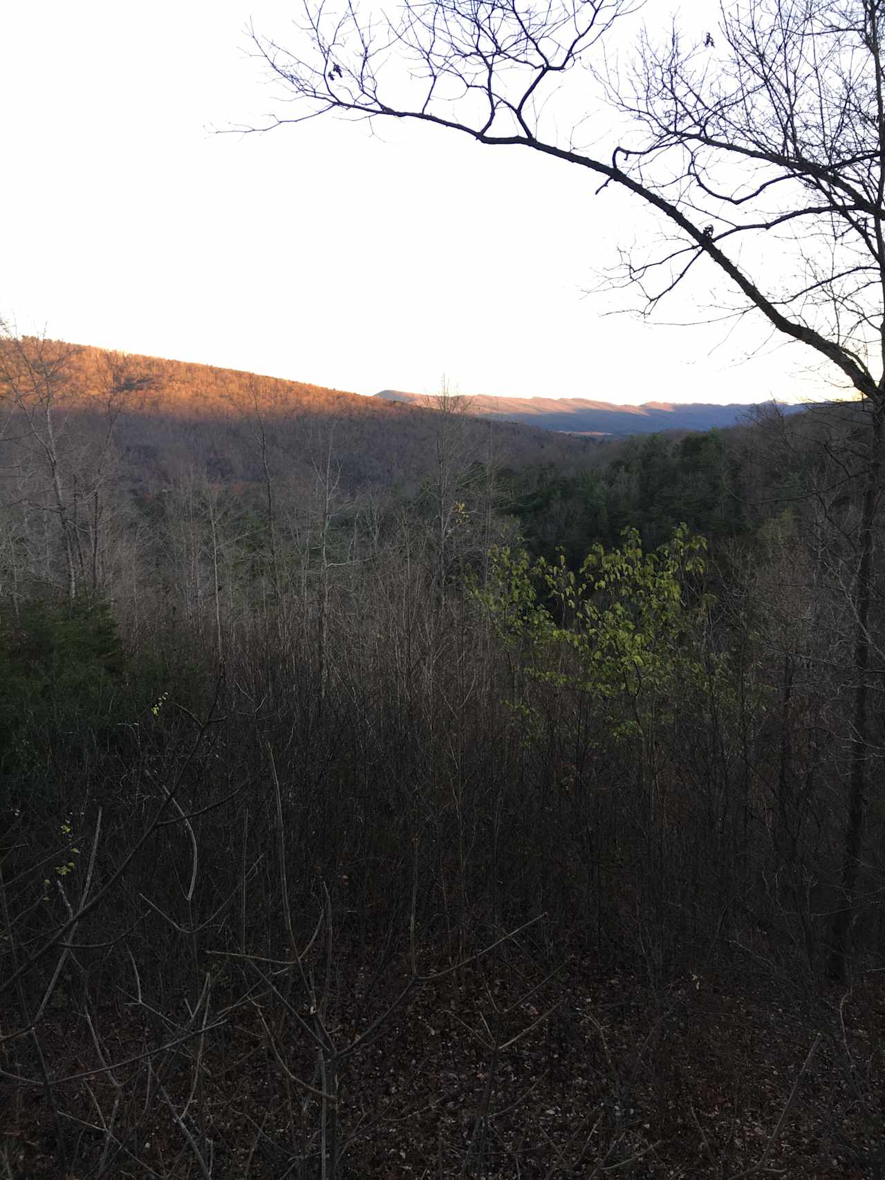 Field at creek, or mountain top.