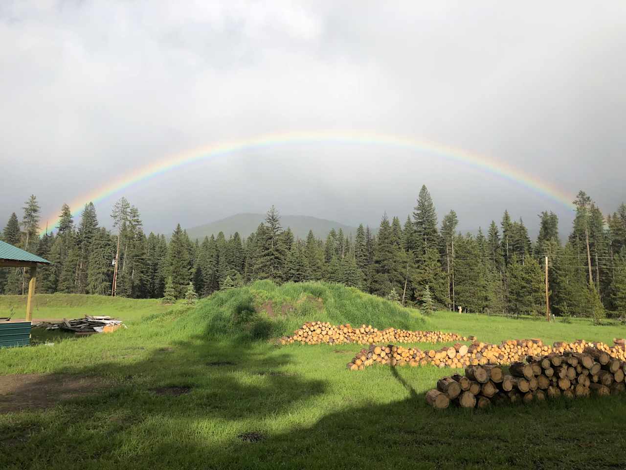 Firewood farms