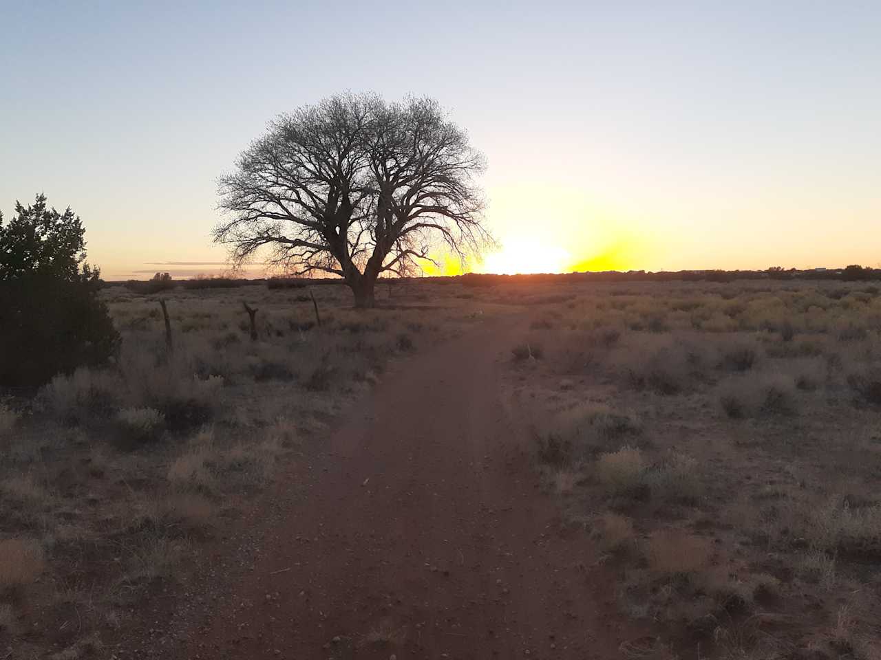 Az Broken Arrow Ranch Camping