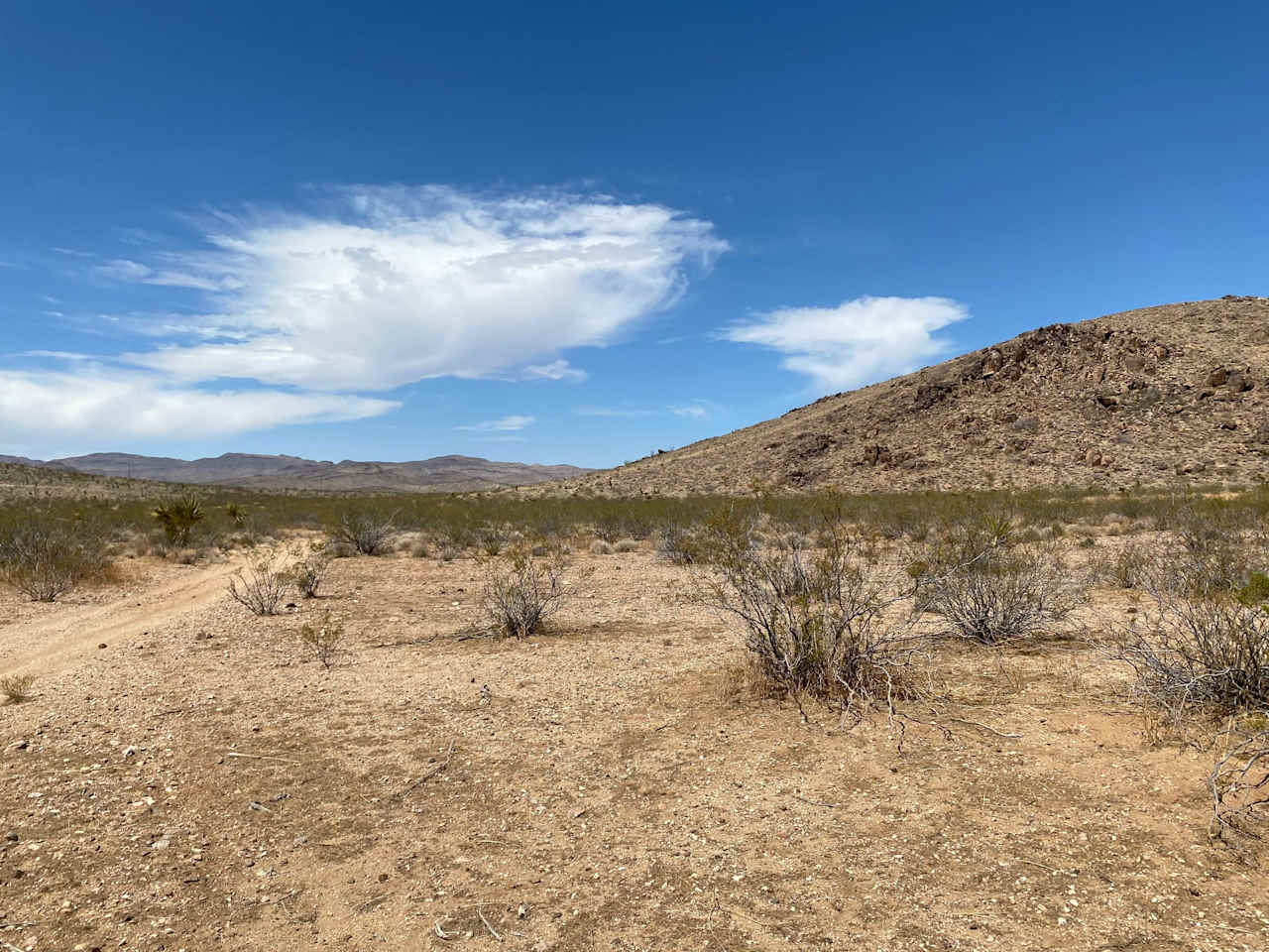 Quiet Desert Paradise with Views