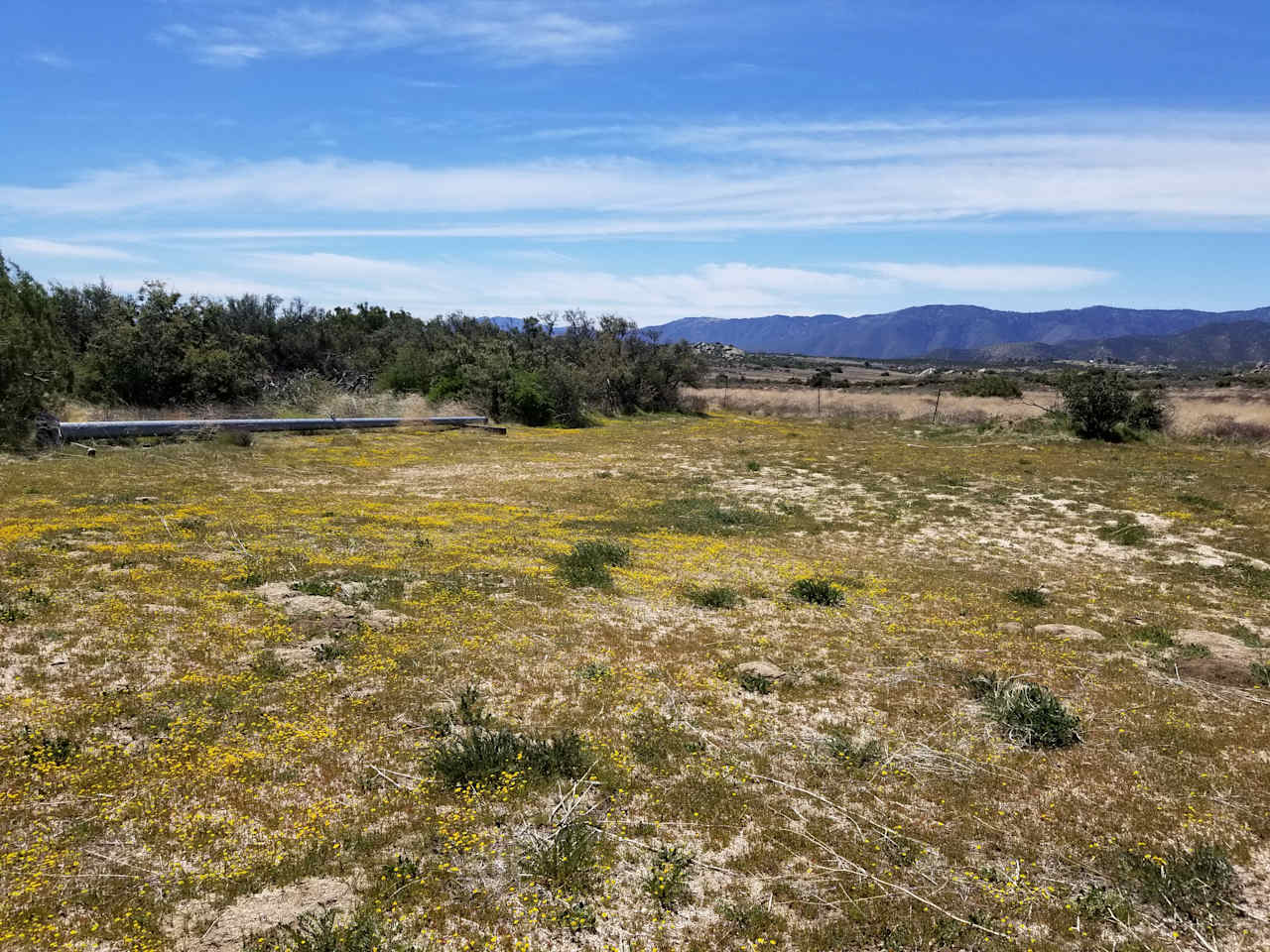 Montezuma Valley Campground