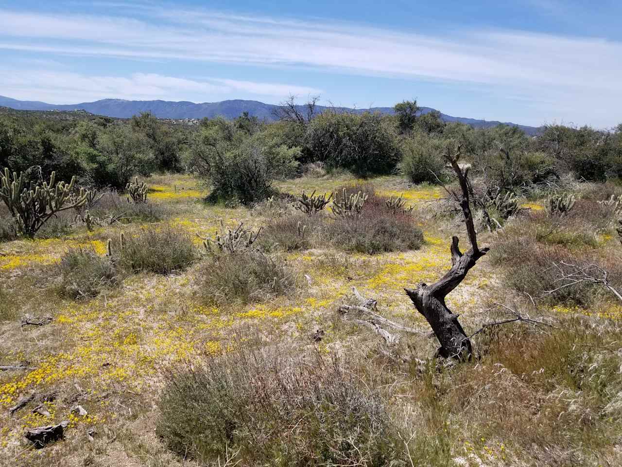 Montezuma Valley Campground