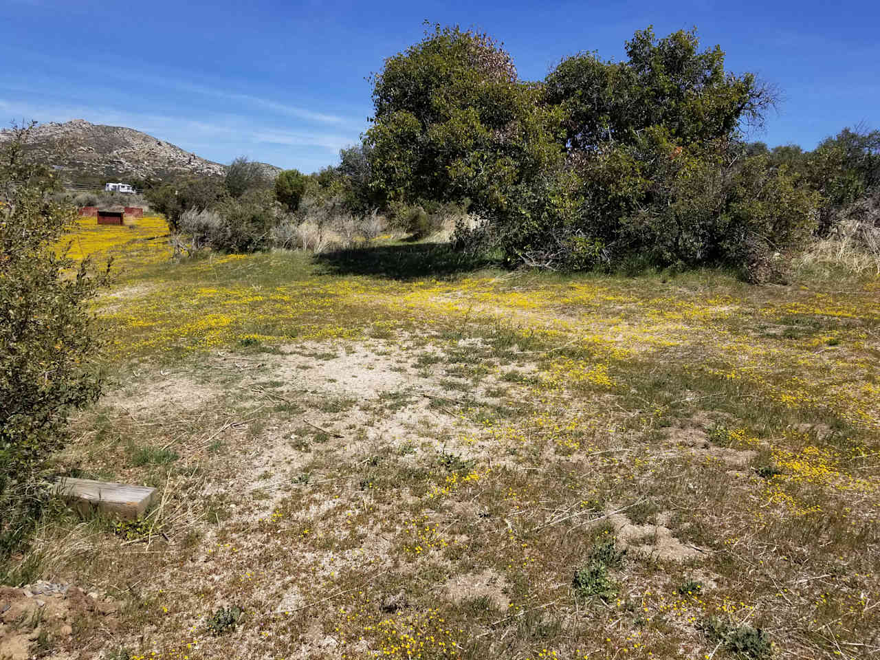 Montezuma Valley Campground