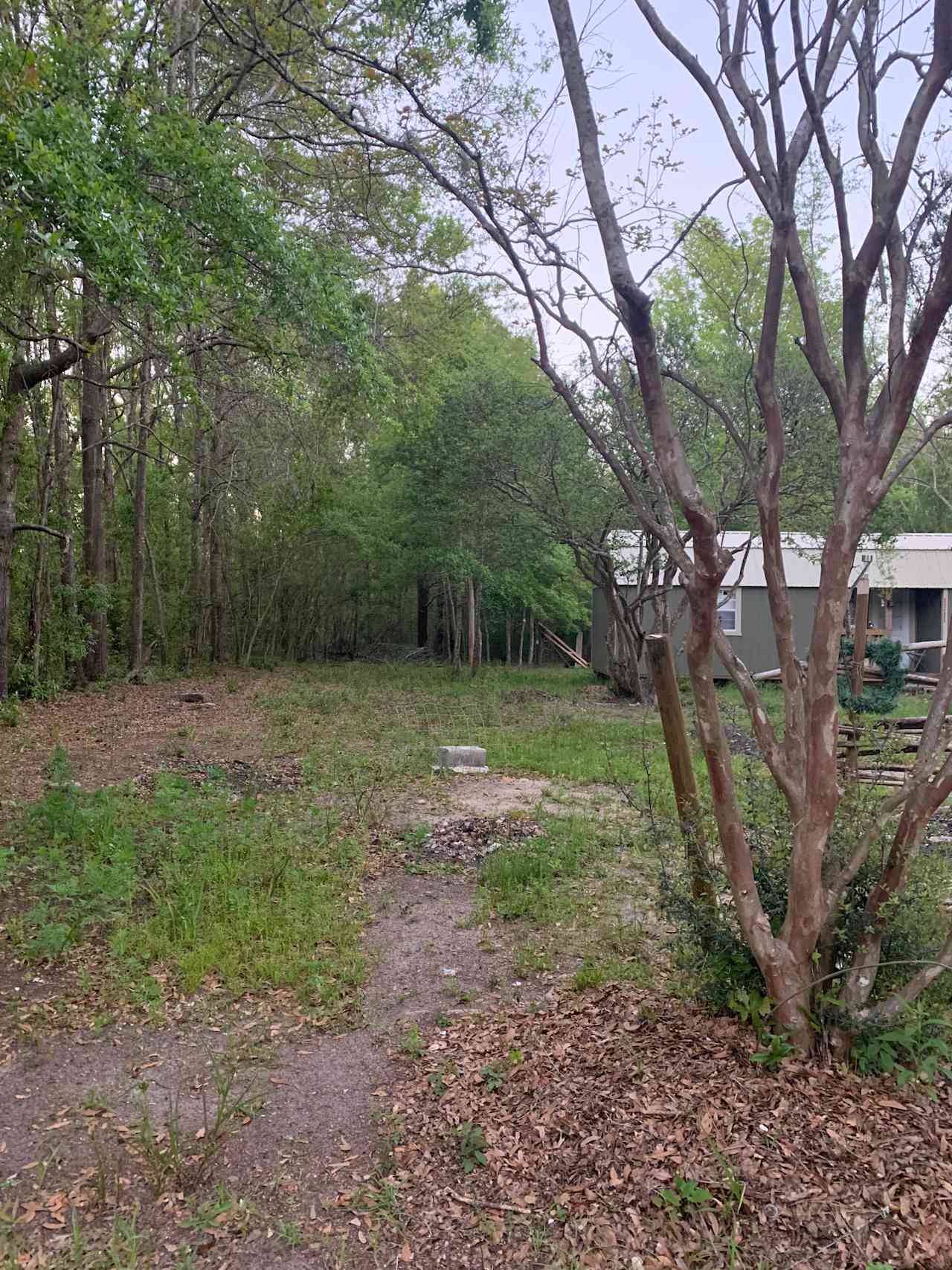 The second entrance on the left side of the cabin and property!