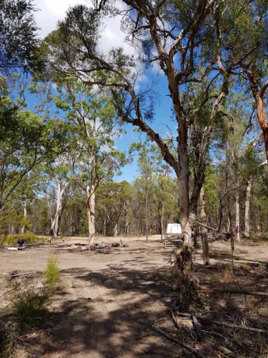 Gumtree Camp