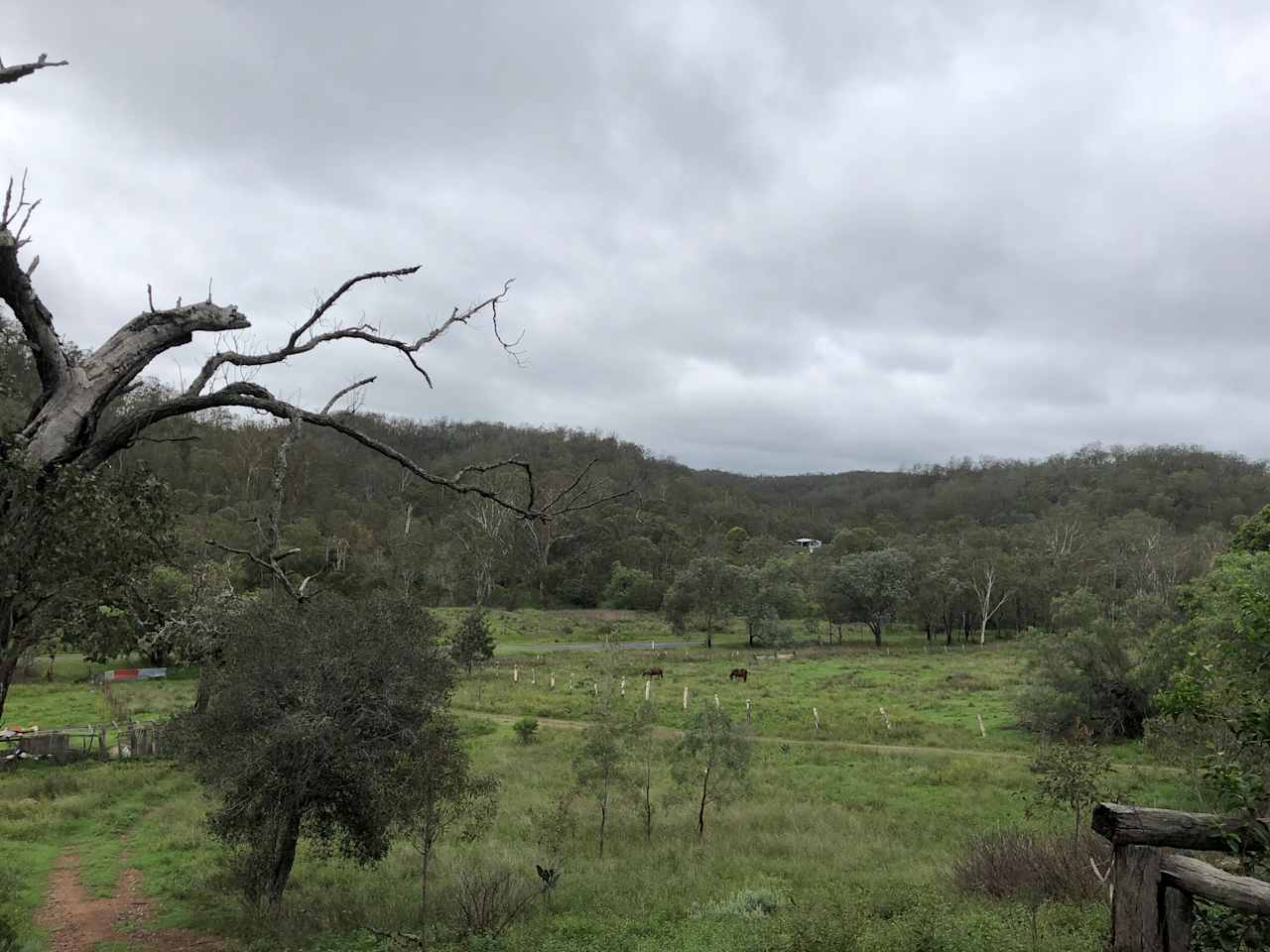 Deacin Camp