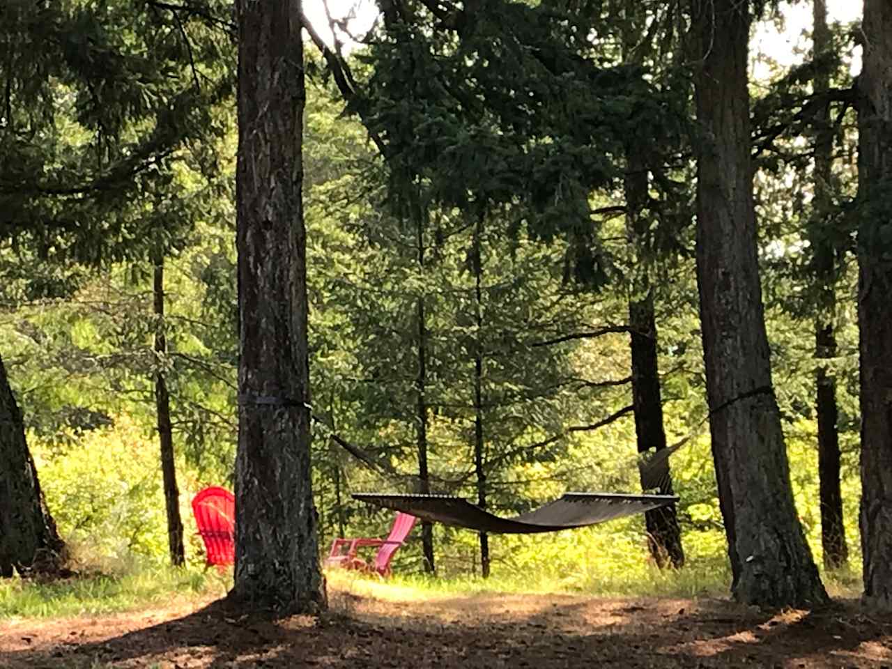 Salmon Point on Nature Trail