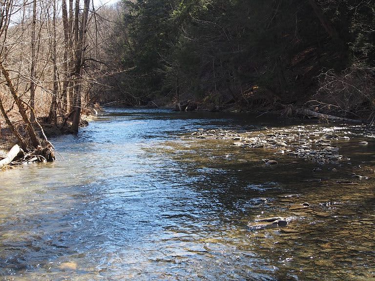 Dryden Creek Camping