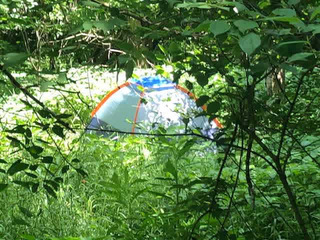 Pitch your tent in the woods. 