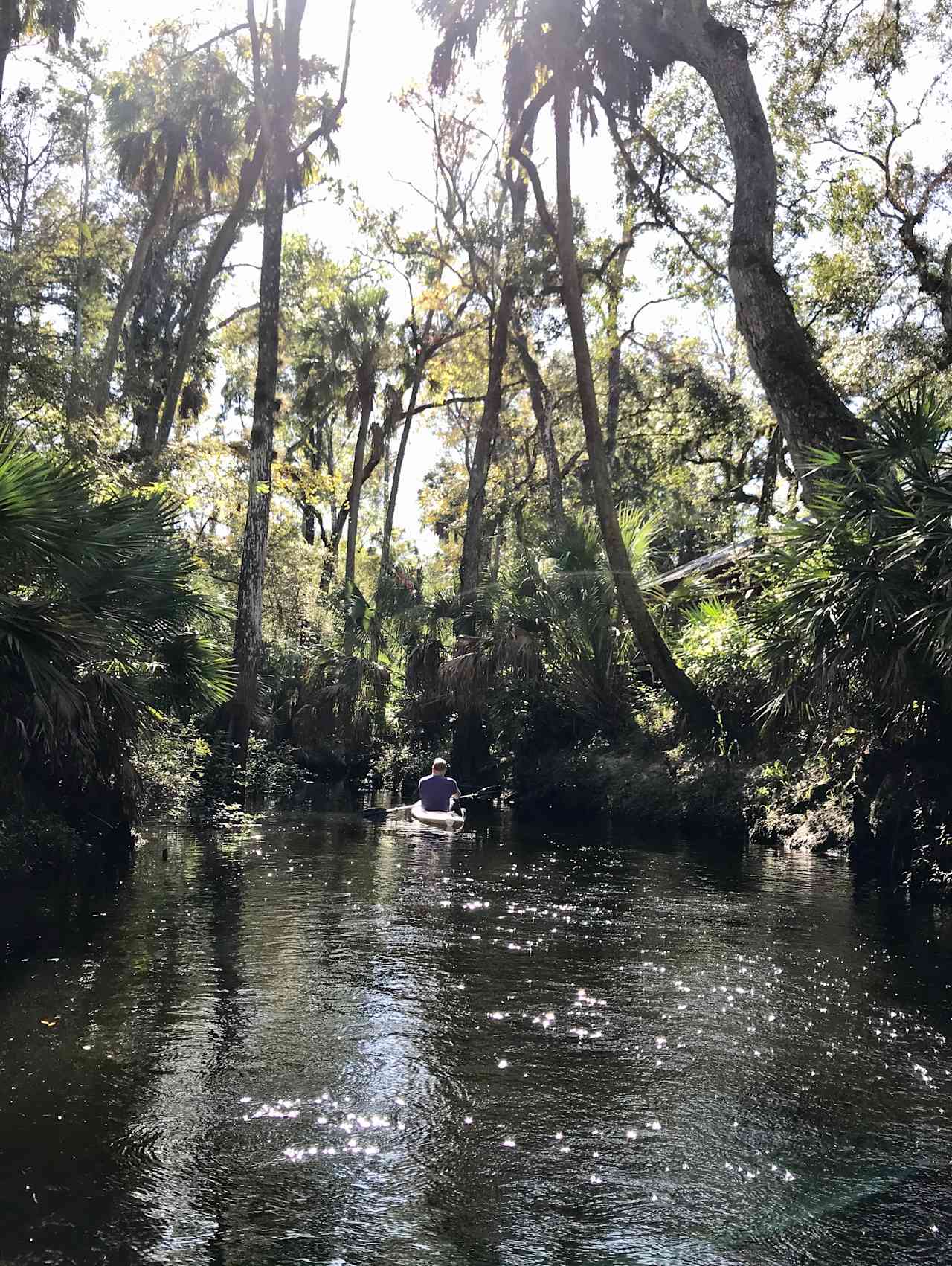 During rainy summer months, the river flows higher and more swiftly.