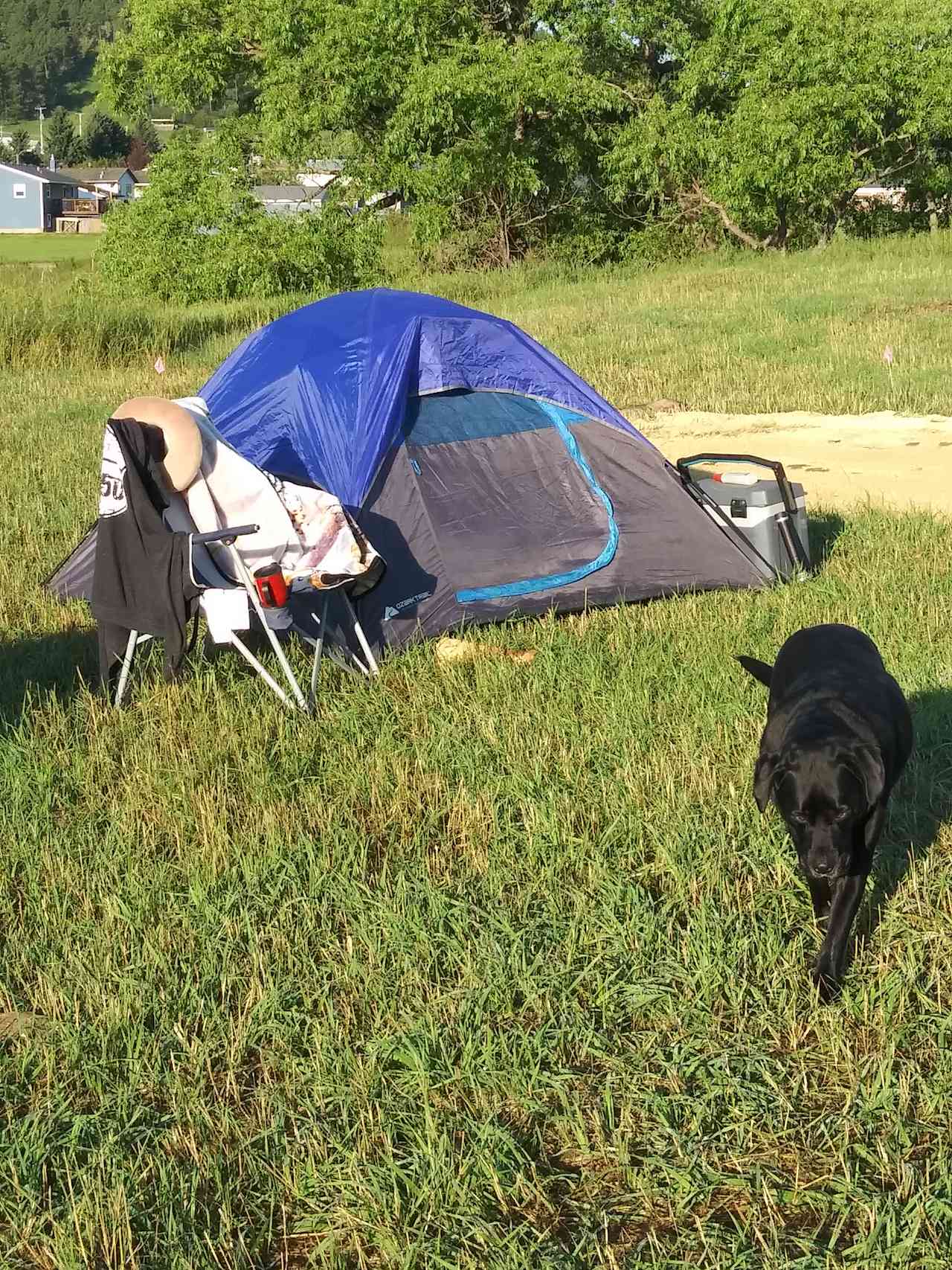 Custer's Last Chance Rv Park