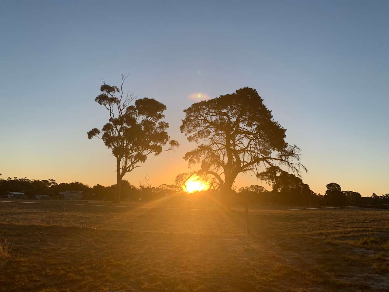 Bluegums Farm, Bordertown