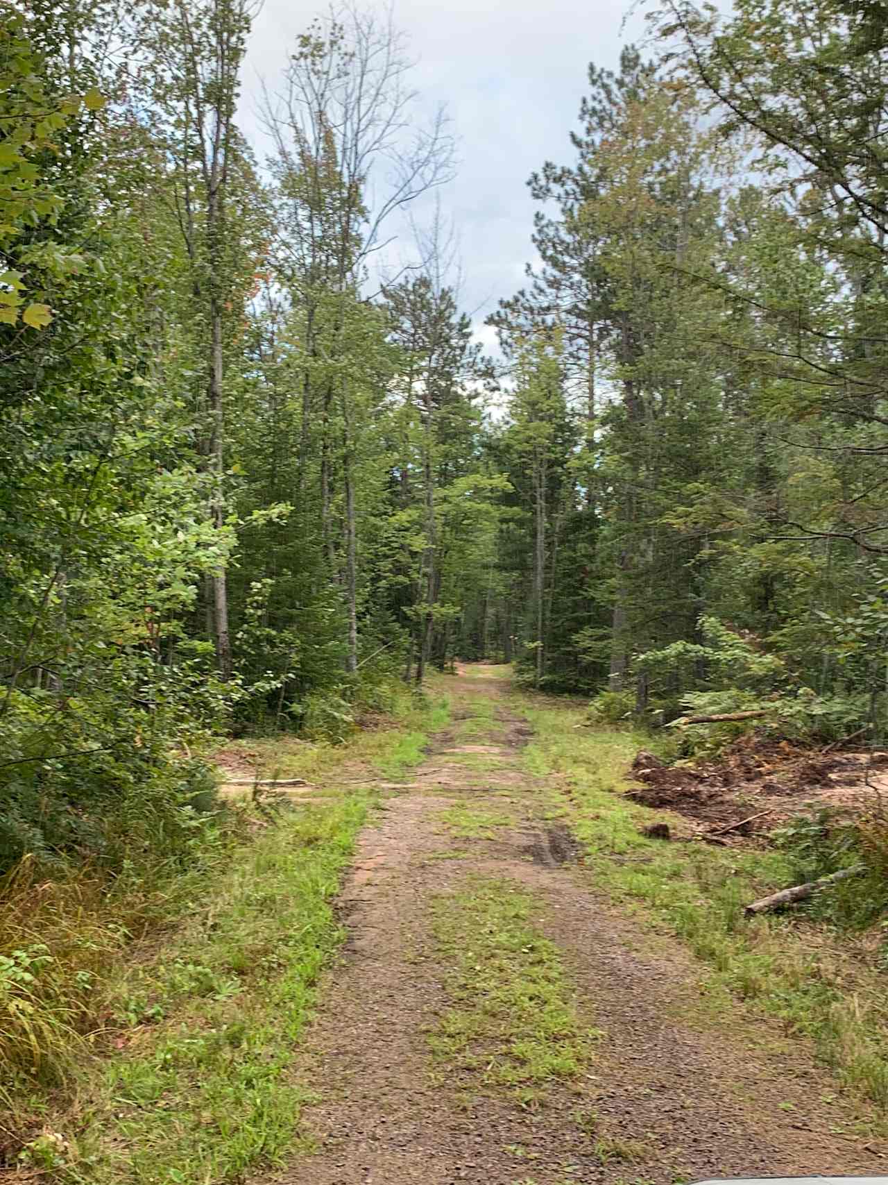 Blueberry fields campground