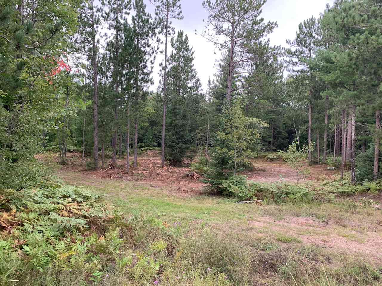 Blueberry fields campground