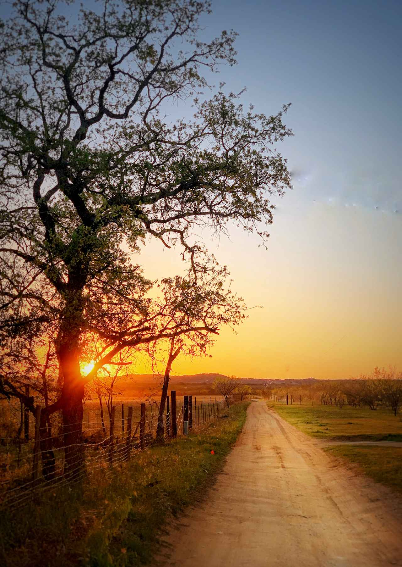 My early morning walk on the road just outside of Angela’s property 