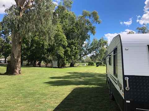 Plenty of beautiful grassy camping 👍👍