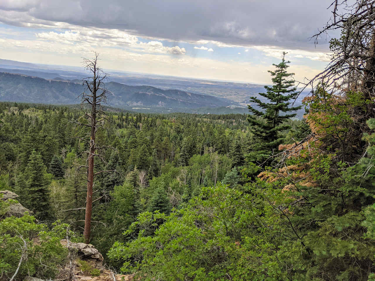 Our property sits at 8,600' elevation with 10,000' views nearby.