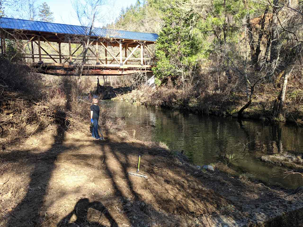 Forested creekside campsite