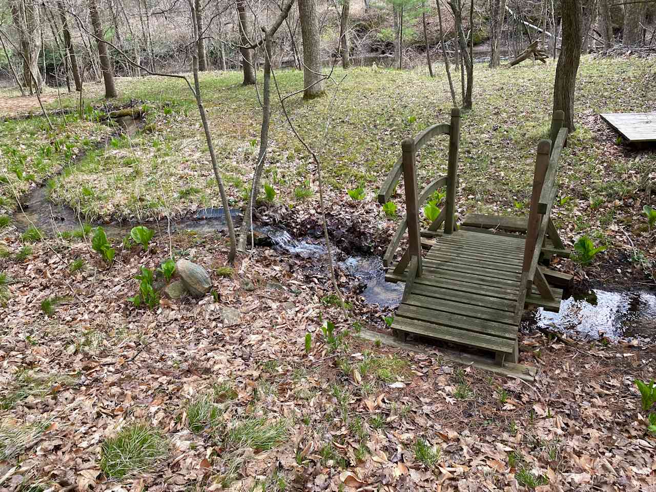 Brookhollow Riverfront Campsite