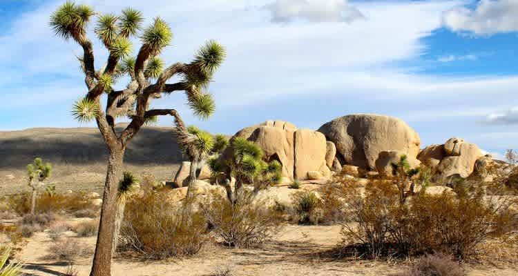 Our land has both rocky and flat sandy terrain.